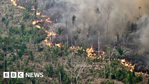 Amazon Deforestation at 23-Year Low, but El Niño Fires Pose New Threat
