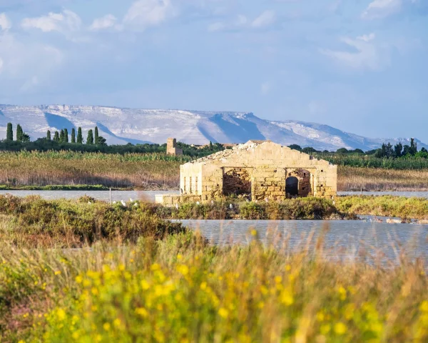 Sicily's Wild Side: Exploring Vendicari's Shores, Flamingos, and Lemon Groves