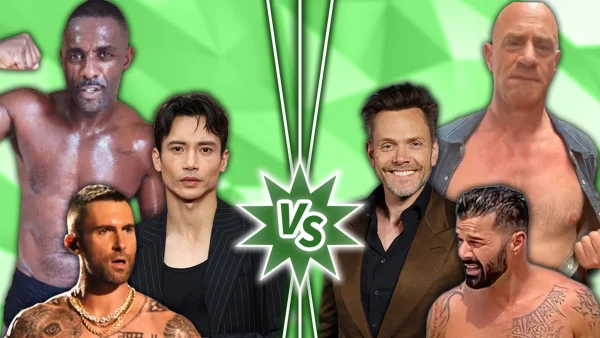 Hollywood's Hottest Silver Foxes: Who'd You Rather?