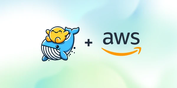 AWS Guide: How to Deploy and Fine-Tune DeepSeek Models