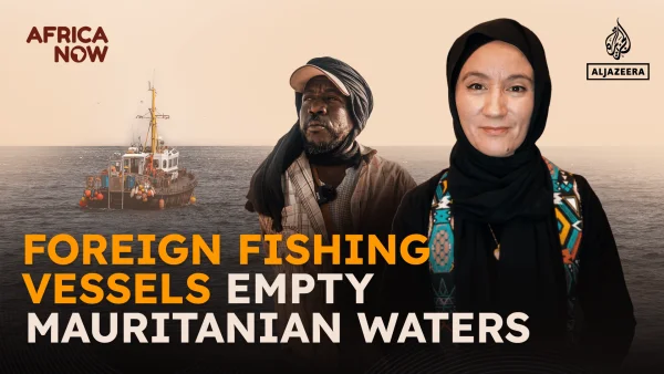 Foreign Fleets Deplete Mauritania's Fishing Grounds, Leaving Locals Empty-Handed