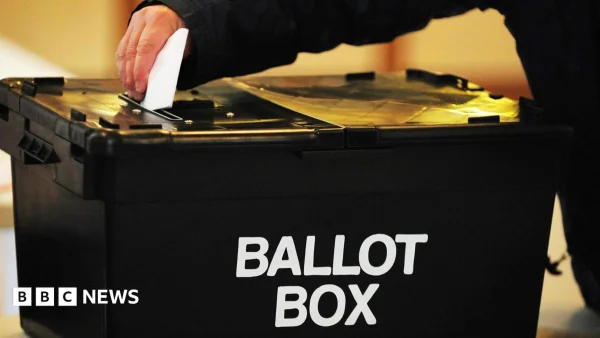 A bin, two foxes and a mystic: the candidates fighting Clacton