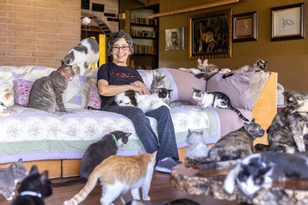 The Truth Behind the 'Crazy Cat Lady' Stereotype: A Look at the Social Science