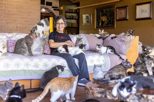 The Truth Behind the 'Crazy Cat Lady' Stereotype: A Look at the Social Science