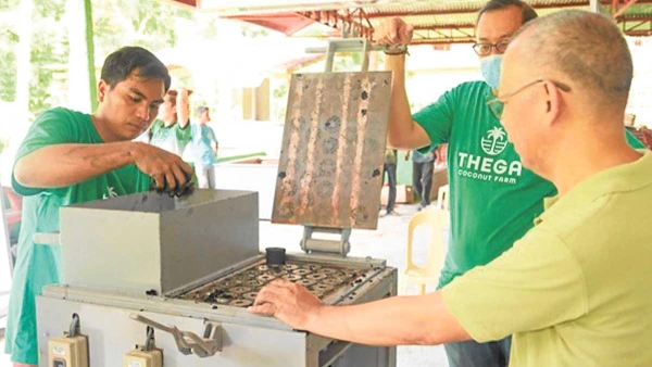 Bamboo and Agricultural Waste Emerge as Promising Biomass Energy Sources