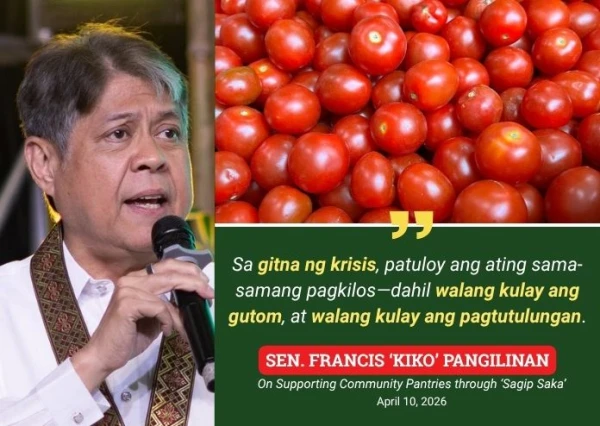 Innovative Filipino Farmers Cultivate Hope for Traditional Tomato Varieties