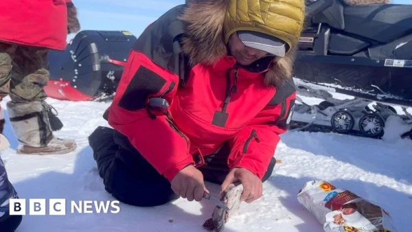 Arctic Rangers Reveal Ancient Survival Secrets in Extreme -60C Patrol