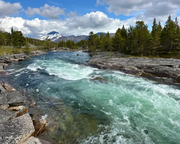 Solo Under the Midnight Sun: A Campervan Journey to Europe's Northernmost Point