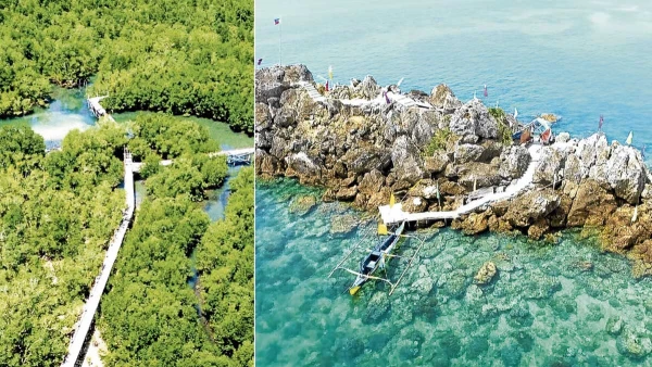 Ligao's Seas Reborn: How Community Action Revived Marine Sanctuaries