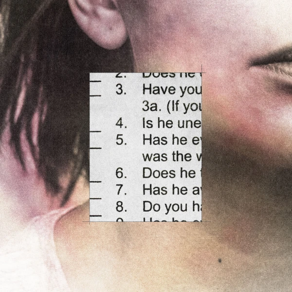 Red Flags Ignored: How a Simple 20-Question Test Could Have Prevented Two Domestic Violence Massacres