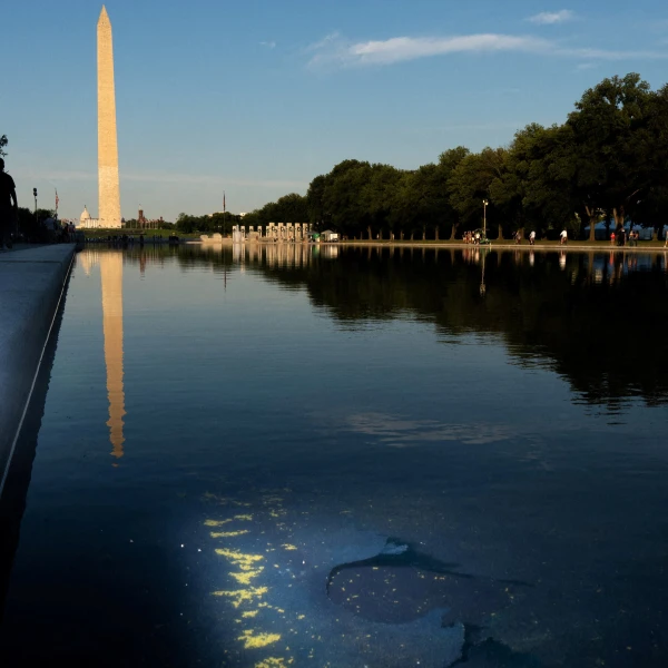 President Narcissus and the Fetid Reflecting Pool