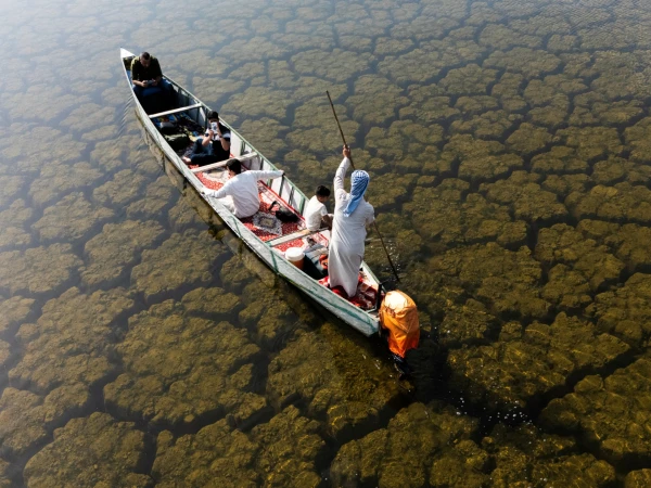 Life Returns to Iraq's Huwaizah Marshes as Rains End Years of Drought