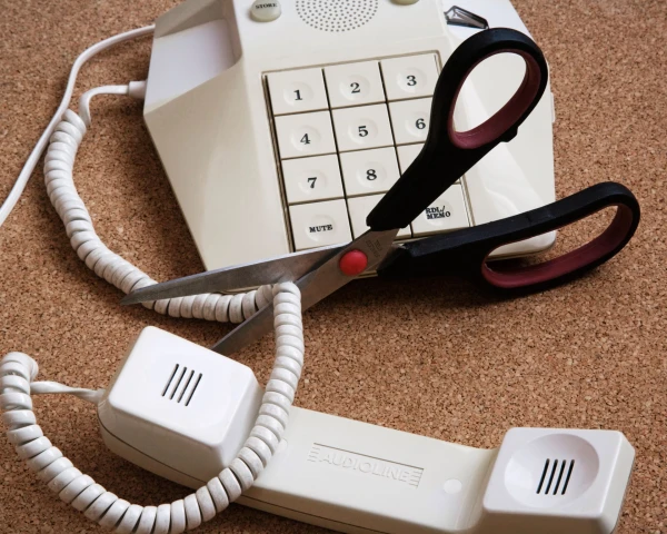 BT's Digital Voice Upgrade Leaves Elderly Woman Without Incoming Calls for Two Months