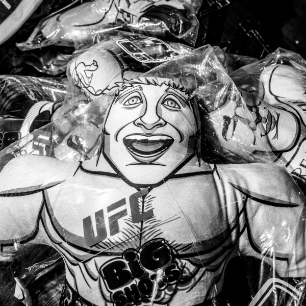 Lessons from the Octagon: How Trump's UFC Fights Bridged the Gap with My Sons
