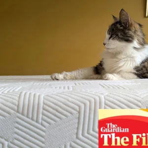 Quest for the Perfect Night's Sleep: The Top Mattresses of 2026 Put to the Test