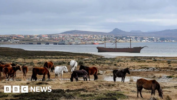 Falklands: A Geopolitical Lever for the US Against the UK