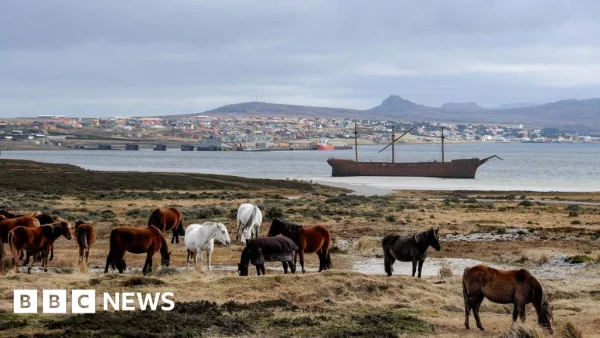 Falklands: A Geopolitical Lever for the US Against the UK