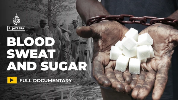 Sugar's Dark History: How Colonial Exploitation Continues to Shape Modern Industry