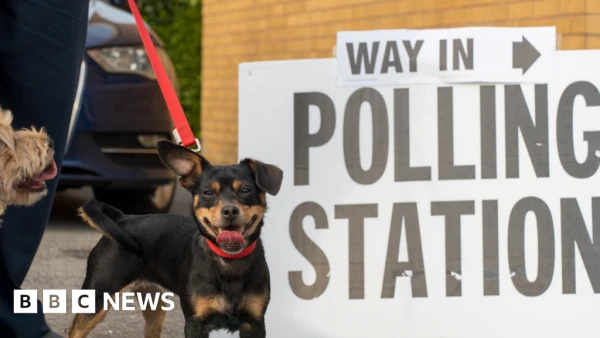 Over 60 Labour MPs Urge Overhaul of UK's 'Broken' First-Past-the-Post Voting System