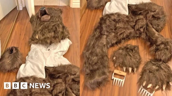 California Trio Jailed for Bizarre Bear Costume Insurance Fraud Scheme