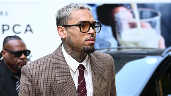 Chris Brown's Legal Team Seeks to Shield Rihanna Assault History from Dog Bite Jury