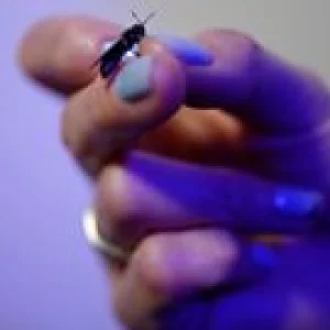 The Great British Block: How BBC iPlayer Enforces Strict UK-Only Access