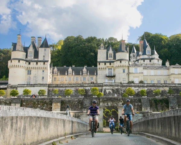 Exploring the Loire Valley by E-Bike: Vineyards, Châteaux, and Scenic Roads