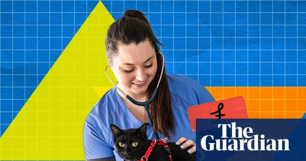 Pet MRI Scans Cost Double Human Private Care: Vets Defend Premium Pricing