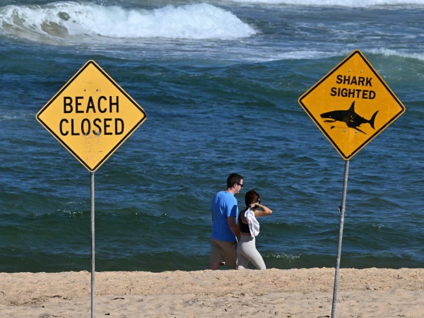 Tragic Shark Attack Claims Fisherman's Life Off Western Australia Coast