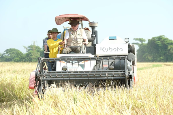 Manila Standard's Harvest Festival: A Celebration of Agricultural Bounty and Community Spirit