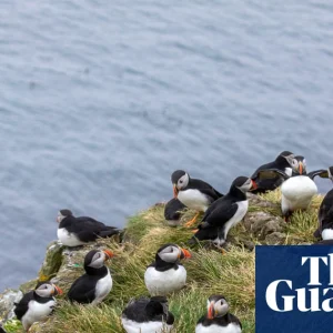 Britain in Bloom: Readers Share Their Ultimate UK Spring Getaways