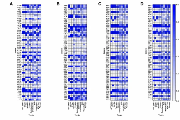 Building Multilingual mRNA Models for Just $165