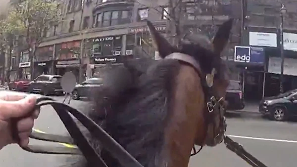 Hoof-Pounding Pursuit: NYPD Mounted Officer Gallops After Purse Snatcher in Dramatic NYC Chase