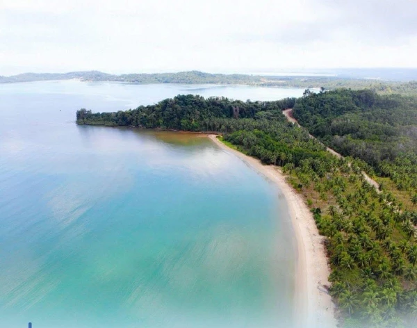 Megaworld to Expand Carbon Forest Cover Sixfold to 1,500 Hectares Across Townships
