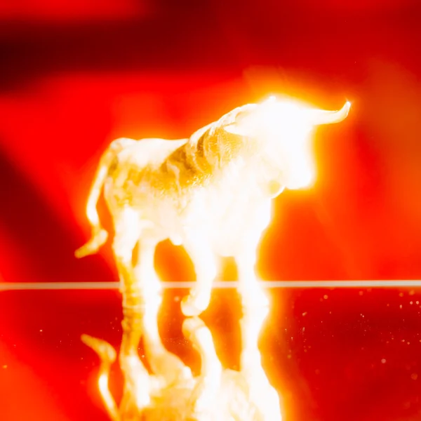 Beyond the AI Frenzy: The Broad Market Rally You're Missing