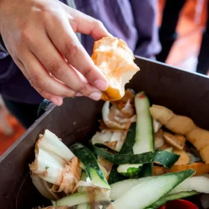 England's Historic Food Waste Mandate Begins, But Millions of Households Face Delays