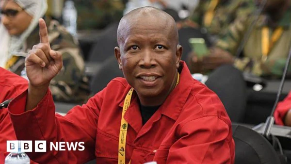 South African Firebrand Malema's Political Fate Hangs on Appeal After Five-Year Prison Sentence