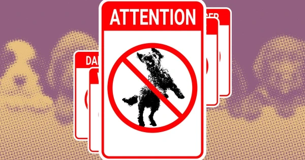 The Psychology Behind Dog Preferences: What Your Judgments Reveal