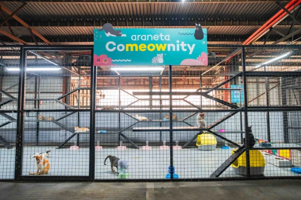 Araneta City Unveils 'CoMEOWnity' Initiative to Support Stray Cats