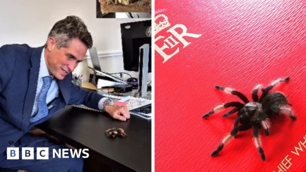 Gavin Williamson pays tribute to 'trusty companion' as pet tarantula dies