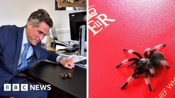 Gavin Williamson pays tribute to 'trusty companion' as pet tarantula dies