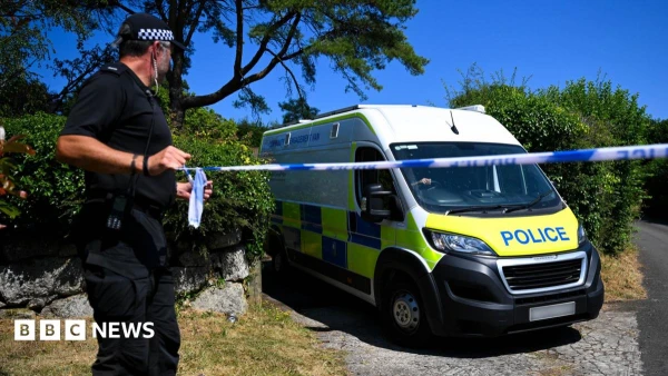 MP Safety Debate Reignited After Widdecombe Investigation