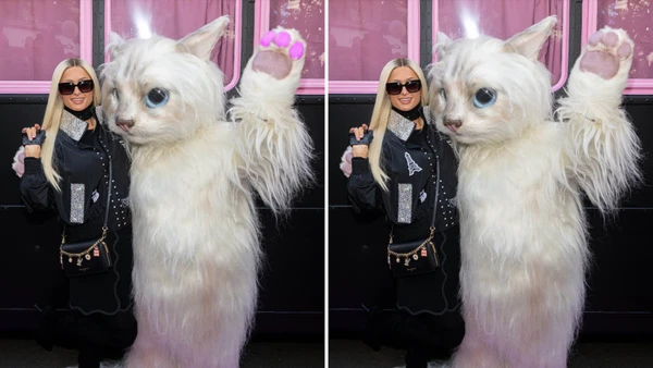 Paris Hilton's Feline Photo: Can You Spot All Three Differences?