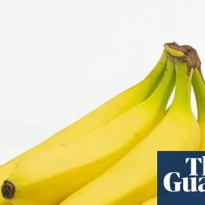 Going Bananas: How a Simple Typo Landed an Orkney Shop with 38,000 Bananas