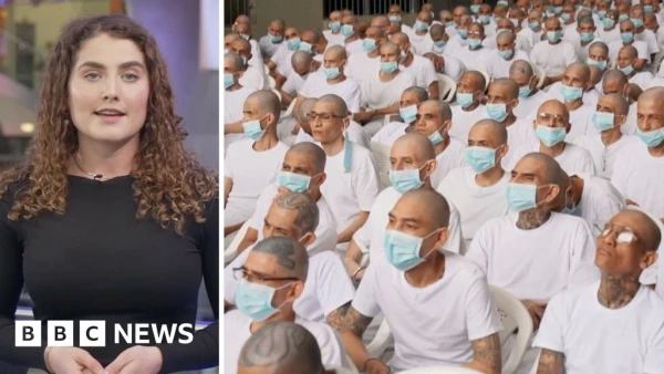 El Salvador Launches Historic Mega-Trial Against 486 MS-13 Suspects