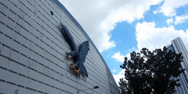 Ateneo Athletics Office Not Involved in Approving Aurora Team-Building Event, Coordinator Says