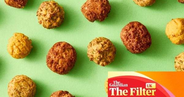 Supermarket Falafel Face-Off: The Top Picks for Perfectly Moist and Fluffy Bites