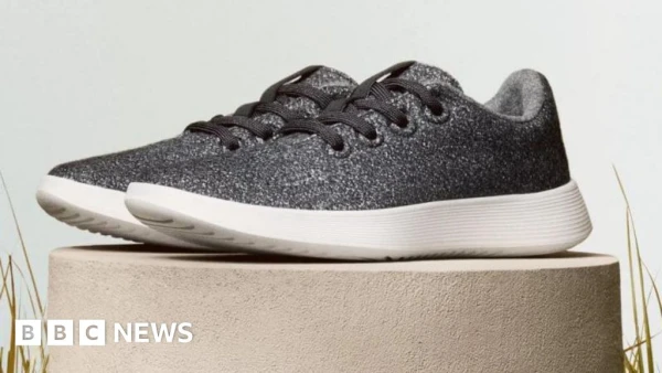 From Wool Runners to AI Power: Allbirds' Dramatic Pivot Sends Stock Soaring 580%