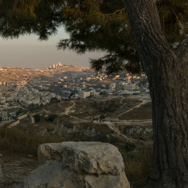 What Zionism Is and What It Is Not