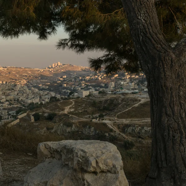 What Zionism Is and What It Is Not